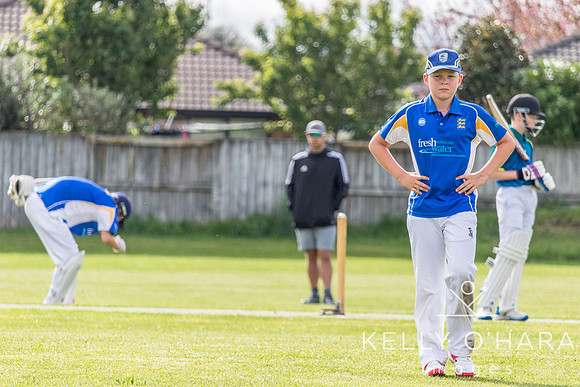 Aquinas Cricket Gold 2021 2022 wm-0011