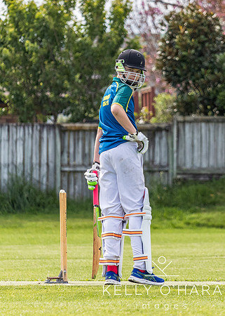 Aquinas Cricket Gold 2021 2022 wm-0090