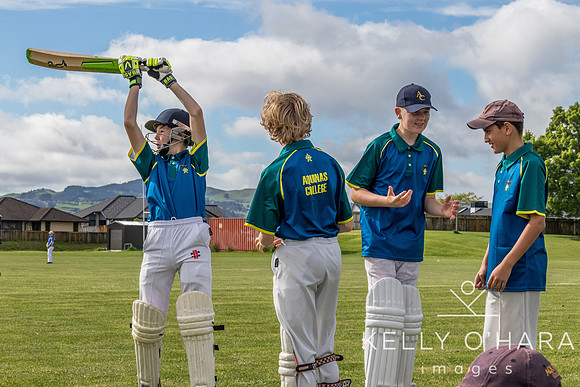Aquinas Cricket Gold 2021 2022 wm-0027