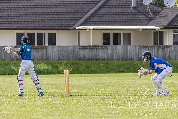Aquinas Cricket Gold 2021 2022 wm-0015