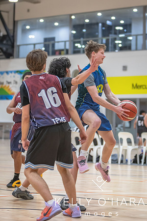 Aquinas Basketball August 2026 wm-0071