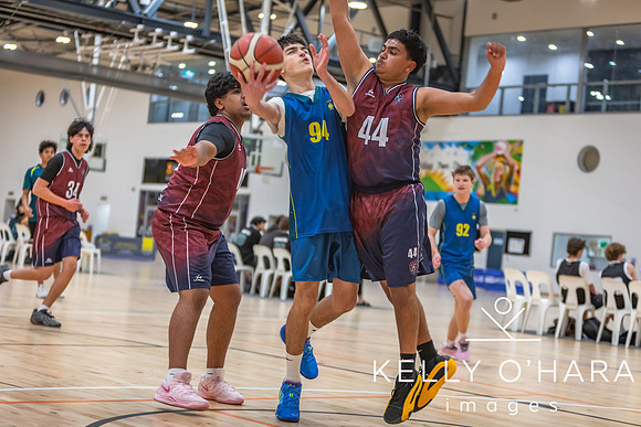 Aquinas Basketball August 2026 wm-0082