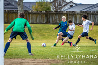 Aquinas Vs TBHS 8.8.2026 wm-0249
