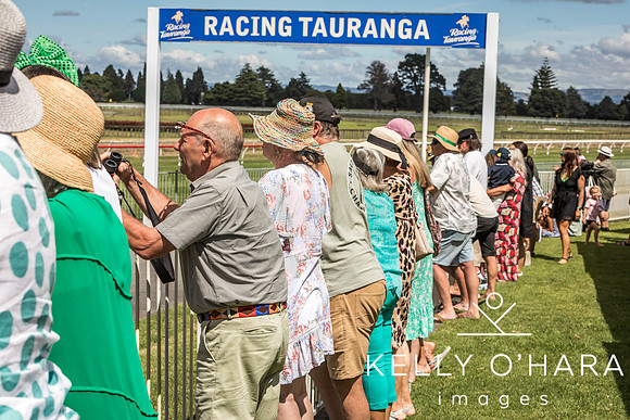 Tauranga Race Course March 15 2025 wm-0318