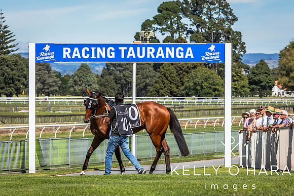 Tauranga Race Course March 15 2025 wm-0177