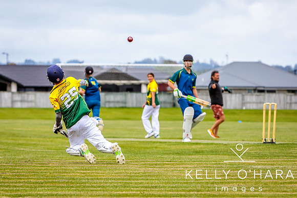 Aquinas Vs Mount Cricket 2024 wm-5978