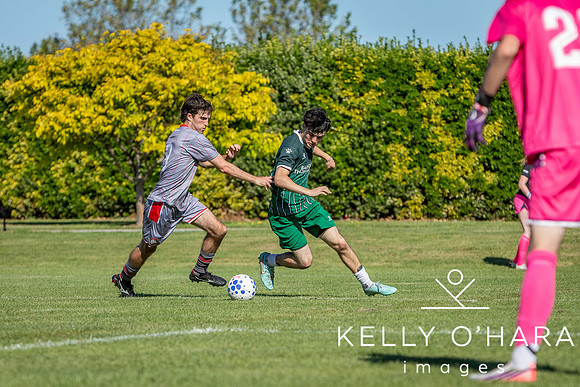Otumoetai FC Napier Day 1 2026 wm-9523