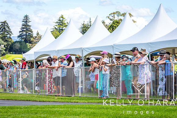 Tauranga Race Course March 15 2025 wm-0364