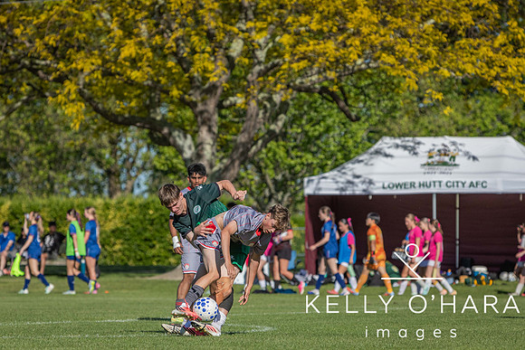 Otumoetai FC Napier Day 1 2026 wm-9558