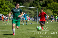 Otumoetai FC Napier Day 1 2026 wm-9217