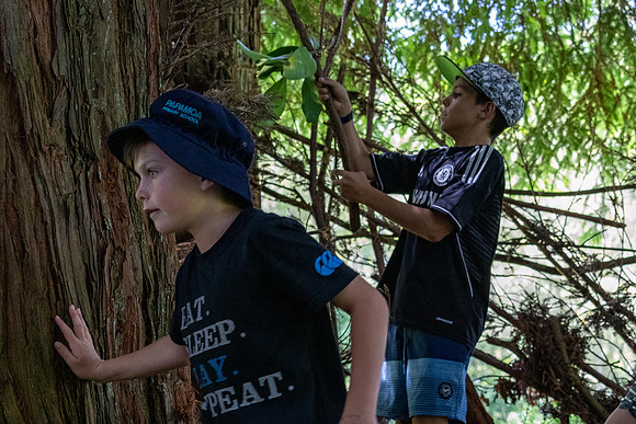 Papamoa Primary Redwood Valley Farm-0110