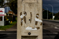 Mask Hunting -2855