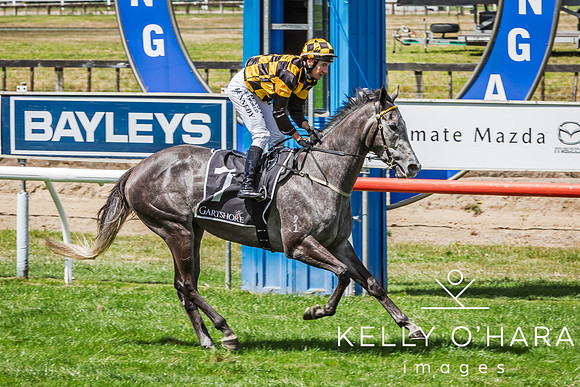 Tauranga Race Course March 15 2025 wm-0375