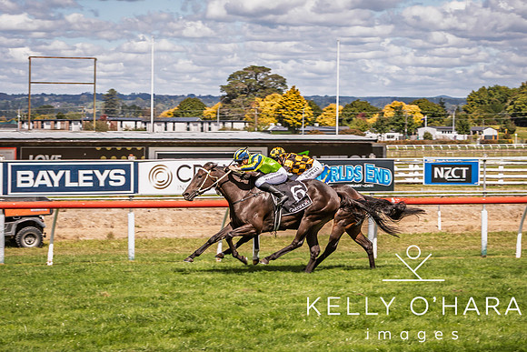 Tauranga Race Course March 15 2025 wm-0943