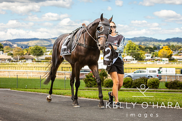 Tauranga Race Course March 15 2025 wm-0570