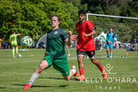 Otumoetai FC Napier Day 1 2026 wm-9247