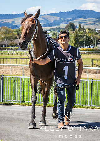 Tauranga Race Course March 15 2025 wm-0173