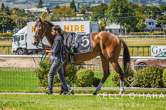 Tauranga Race Course March 15 2025 wm-0152