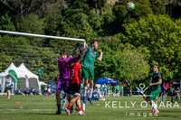 Otumoetai FC Napier Day 1 2026 wm-9215