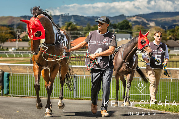Tauranga Race Course March 15 2025 wm-0642