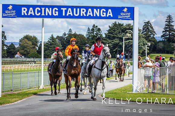 Tauranga Race Course March 15 2025 wm-0403
