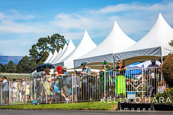 Tauranga Race Course March 15 2025 wm-0146