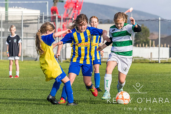 Papamoa Football Club Girls July 8 2023 wm-0100