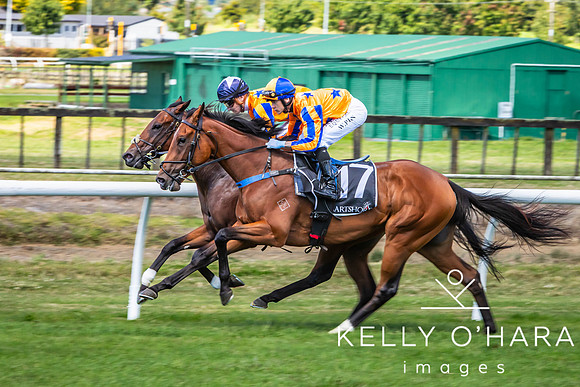 Tauranga Race Course March 15 2025 wm-0251
