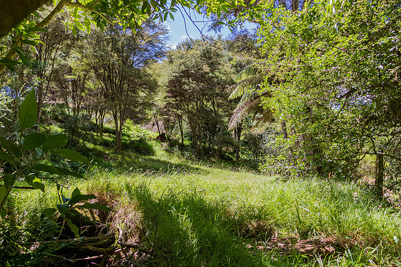 Kiteroa 2020-0108