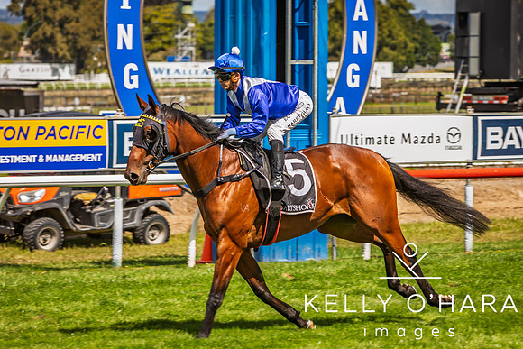 Tauranga Race Course March 15 2025 wm-0904