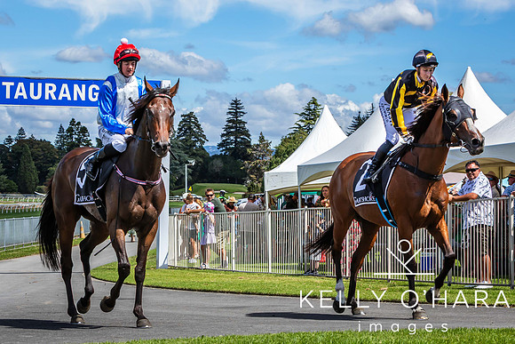 Tauranga Race Course March 15 2025 wm-0430