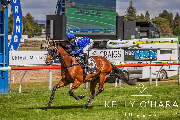 Tauranga Race Course March 15 2025 wm-0903