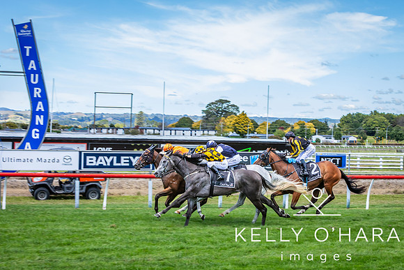 Tauranga Race Course March 15 2025 wm-0361