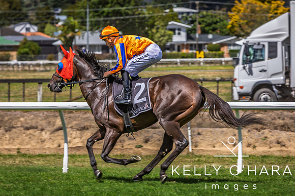 Tauranga Race Course March 15 2025 wm-0921