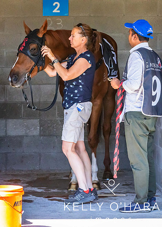 Tauranga Race Course March 15 2025 wm-0042