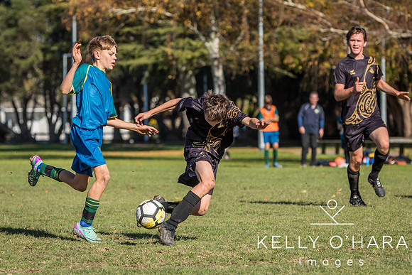 Aquinas vs Whakatane May 2024 wm-7914