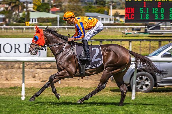 Tauranga Race Course March 15 2025 nwm-0915