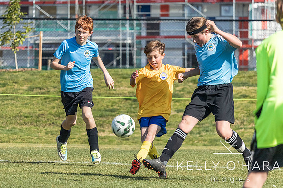 Hyenas vs TGA City August 2023 wm-0103