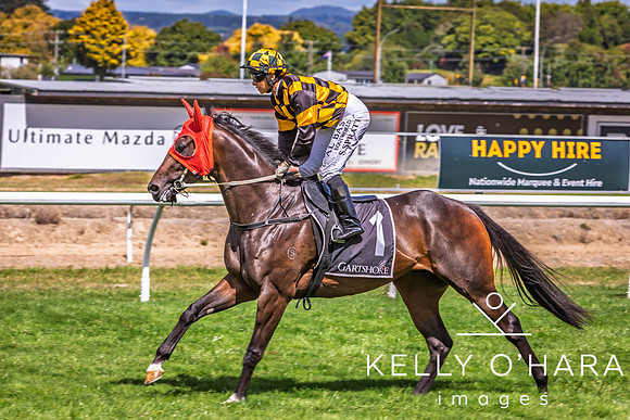 Tauranga Race Course March 15 2025 wm-0908