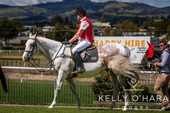 Tauranga Race Course March 15 2025 wm-0640