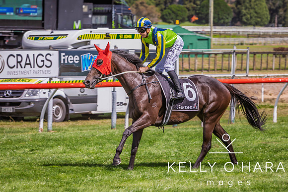 Tauranga Race Course March 15 2025 wm-0899