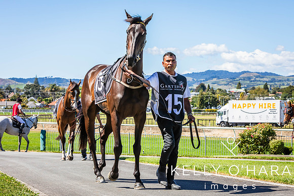 Tauranga Race Course March 15 2025 wm-0156