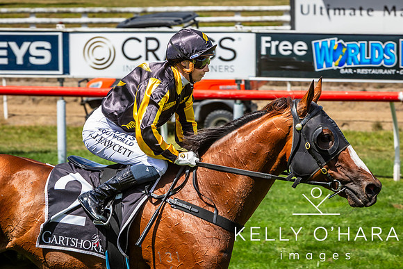 Tauranga Race Course March 15 2025 wm-0390