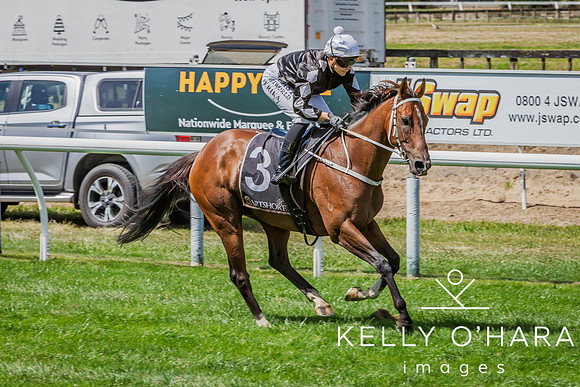 Tauranga Race Course March 15 2025 wm-0382