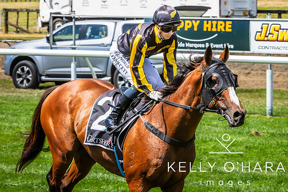 Tauranga Race Course March 15 2025 wm-0388