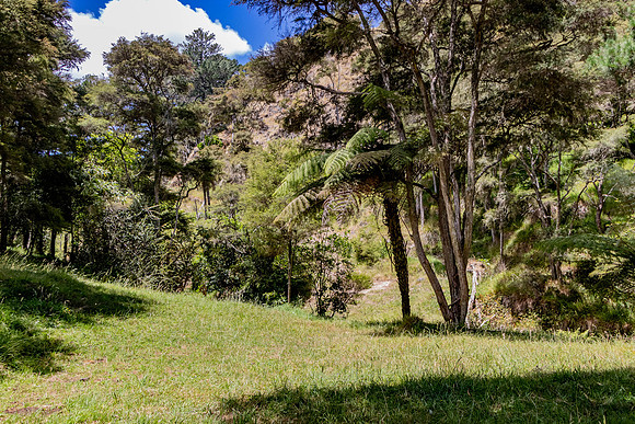 Kiteroa 2020-0089