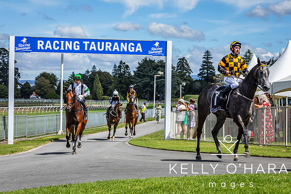 Tauranga Race Course March 15 2025 wm-0422