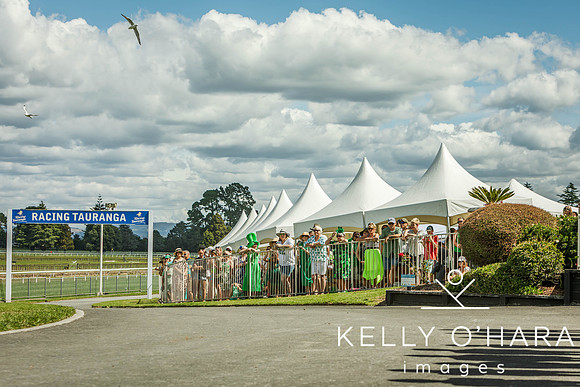 Tauranga Race Course March 15 2025 wm-1260