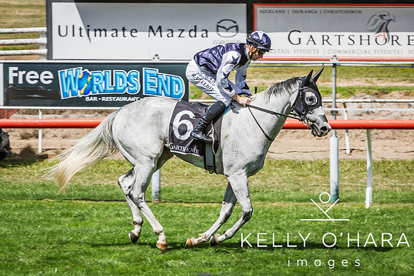 Tauranga Race Course March 15 2025 wm-0373