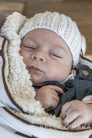 Venter FamilyNewborn August 2021 wm-2-46